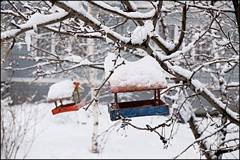 10 февраль 2020 г., Барнаул. Мельников Вячеслав   "Ажурный Барнаул". Таким красивым февраль вы еще не видели
