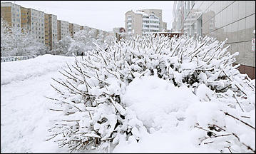10 февраль 2020 г., Барнаул. Мельников Вячеслав   "Ажурный Барнаул". Таким красивым февраль вы еще не видели