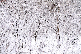 10 февраль 2020 г., Барнаул. Мельников Вячеслав   "Ажурный Барнаул". Таким красивым февраль вы еще не видели