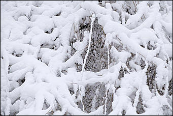 10 февраль 2020 г., Барнаул. Мельников Вячеслав   "Ажурный Барнаул". Таким красивым февраль вы еще не видели