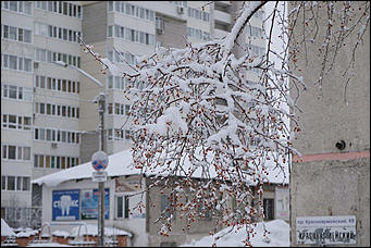 10 февраль 2020 г., Барнаул. Мельников Вячеслав   "Ажурный Барнаул". Таким красивым февраль вы еще не видели