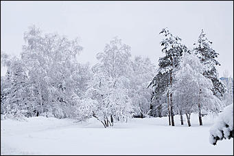 10 февраль 2020 г., Барнаул. Мельников Вячеслав   "Ажурный Барнаул". Таким красивым февраль вы еще не видели