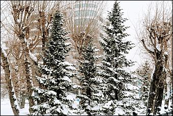 26 декабря 2019 г., Барнаул. Екатерина Смолихина   Штурмуем сугробы. Как Барнаул завалило рекордным количеством снега