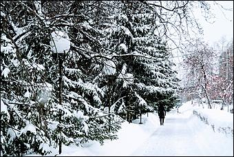 26 декабря 2019 г., Барнаул. Екатерина Смолихина   Штурмуем сугробы. Как Барнаул завалило рекордным количеством снега