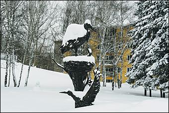 26 декабря 2019 г., Барнаул. Екатерина Смолихина   Штурмуем сугробы. Как Барнаул завалило рекордным количеством снега