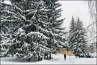 26 декабря 2019 г., Барнаул. Екатерина Смолихина   Штурмуем сугробы. Как Барнаул завалило рекордным количеством снега