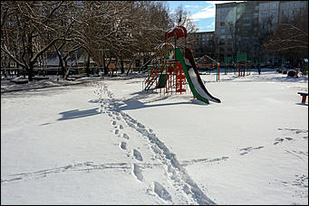 16 апреля 2019 г., Барнаул. Екатерина Смолихина   Зима вернулась: фотографии заснеженного Барнаула под апрельским солнцем