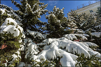 16 апреля 2019 г., Барнаул. Екатерина Смолихина   Зима вернулась: фотографии заснеженного Барнаула под апрельским солнцем