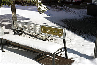 16 апреля 2019 г., Барнаул. Екатерина Смолихина   Зима вернулась: фотографии заснеженного Барнаула под апрельским солнцем