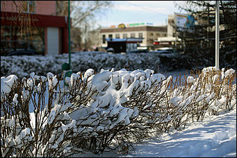 16 апреля 2019 г., Барнаул. Екатерина Смолихина   Зима вернулась: фотографии заснеженного Барнаула под апрельским солнцем