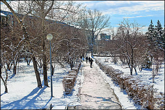 16 апреля 2019 г., Барнаул. Екатерина Смолихина   Зима вернулась: фотографии заснеженного Барнаула под апрельским солнцем