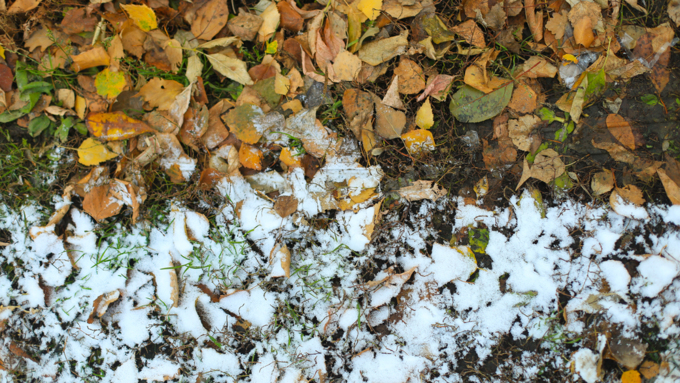 23 октября 2018 г., Барнаул. Екатерина Смолихина   Зимние нотки в осеннем городе: фото первого снега в Барнауле