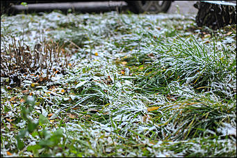 23 октября 2018 г., Барнаул. Екатерина Смолихина   Зимние нотки в осеннем городе: фото первого снега в Барнауле