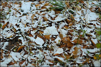 23 октября 2018 г., Барнаул. Екатерина Смолихина   Зимние нотки в осеннем городе: фото первого снега в Барнауле