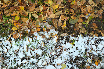 23 октября 2018 г., Барнаул. Екатерина Смолихина   Зимние нотки в осеннем городе: фото первого снега в Барнауле