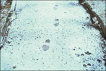 23 октября 2018 г., Барнаул. Екатерина Смолихина   Зимние нотки в осеннем городе: фото первого снега в Барнауле