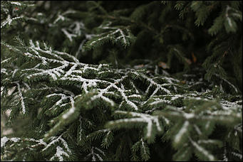 23 октября 2018 г., Барнаул. Екатерина Смолихина   Зимние нотки в осеннем городе: фото первого снега в Барнауле