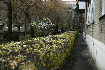 23 октября 2018 г., Барнаул. Екатерина Смолихина   Зимние нотки в осеннем городе: фото первого снега в Барнауле