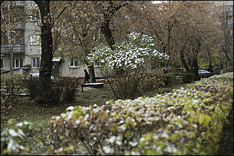 23 октября 2018 г., Барнаул. Екатерина Смолихина   Зимние нотки в осеннем городе: фото первого снега в Барнауле
