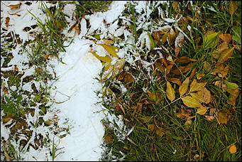 23 октября 2018 г., Барнаул. Екатерина Смолихина   Зимние нотки в осеннем городе: фото первого снега в Барнауле