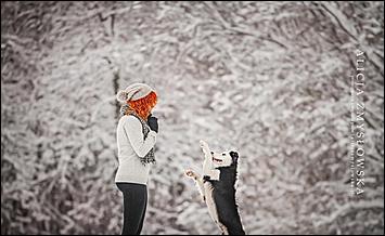 1 февраля 2016 г., Барнаул   Невероятные портреты лучших друзей человека