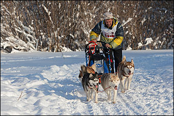 17 декабрь 2016 г., Барнаул © Амител Вячеслав Мельников   Заезды на собачьих упряжках. Фоторепортаж