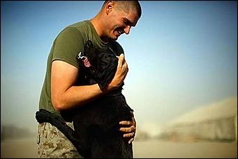 8 февраль 2016 г., Барнаул   200 лет на службе: как собаки участвуют в полицейских и военных операциях? 