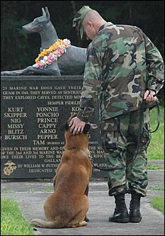 8 февраль 2016 г., Барнаул   200 лет на службе: как собаки участвуют в полицейских и военных операциях? 