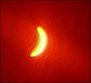 1 августа 2008 Алтай   Солнечное затмение