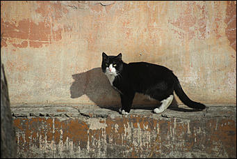 28 февраля 2018 г., Барнаул. Екатерина Смолихина   Зона барнаульской реновации: фотопрогулка по улице Советской армии