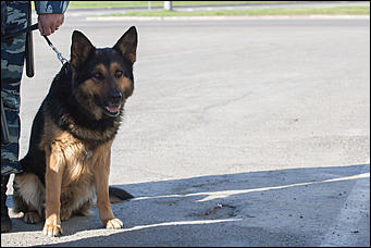 19 мая 2016  © Амител Вячеслав Мельников   "Стрелять без предупреждения!": как "спасали" заложников в Барнауле. Фоторассказ