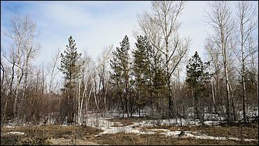 5 апреля 2021 г., Барнаул. Екатерина Смолихина   Оживаем. Как Барнаул встречает долгожданную весну-2021