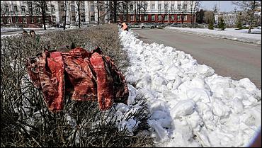5 апреля 2021 г., Барнаул. Екатерина Смолихина   Оживаем. Как Барнаул встречает долгожданную весну-2021