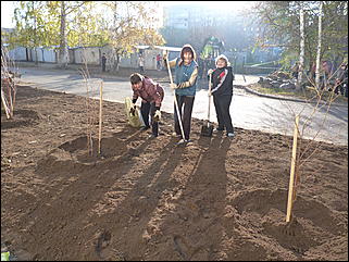 15 октября 2011 г., Барнаул   Общегородской субботник в Барнауле