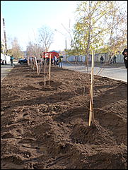 15 октября 2011 г., Барнаул   Общегородской субботник в Барнауле