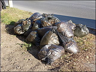 15 октября 2011 г., Барнаул   Общегородской субботник в Барнауле