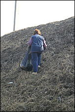 24 апреля 2010 г., Барнаул   Общегородской субботник в Барнауле