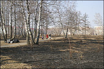 24 апреля 2010 г., Барнаул   Общегородской субботник в Барнауле