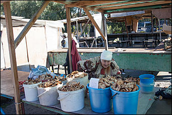 15 сентябрь 2016 г., Барнаул © Амител Вячеслав Мельников   Уходящая эпоха: фотопрогулка по Старому базару в Барнауле