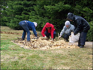 25 апреля 2009 г., Барнаул   общегородской субботник, фото FM-Продакшн и ИА "Амител"