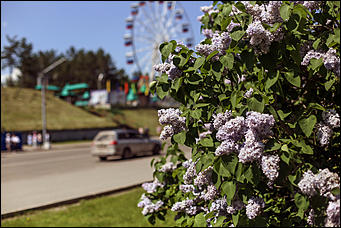 8 июня 2018 г., Барнаул. Екатерина Смолихина   Лето, жара, Барнаул: долгожданное тепло пришло в город