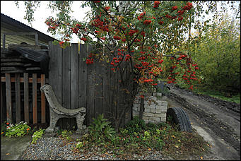 26 сентября 2017 г, Барнаул. Екатерина Смолихина Над пропастью в Оби: фотопрогулка по береговой улице Барнаула