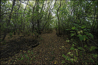 26 сентября 2017 г, Барнаул. Екатерина Смолихина Над пропастью в Оби: фотопрогулка по береговой улице Барнаула