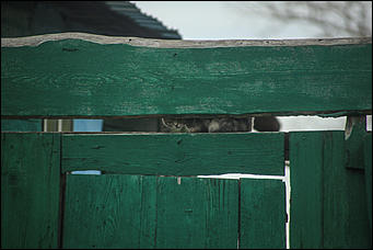 26 сентября 2017 г, Барнаул. Екатерина Смолихина Над пропастью в Оби: фотопрогулка по береговой улице Барнаула