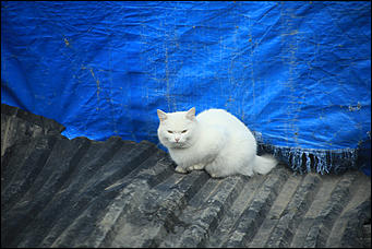 26 сентября 2017 г, Барнаул. Екатерина Смолихина Над пропастью в Оби: фотопрогулка по береговой улице Барнаула