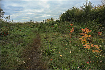 26 сентября 2017 г, Барнаул. Екатерина Смолихина Над пропастью в Оби: фотопрогулка по береговой улице Барнаула