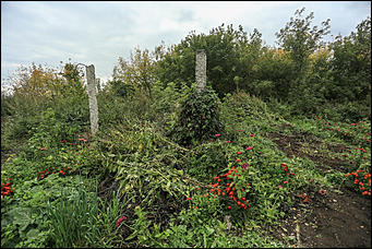 26 сентября 2017 г, Барнаул. Екатерина Смолихина Над пропастью в Оби: фотопрогулка по береговой улице Барнаула