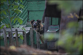 26 сентября 2017 г, Барнаул. Екатерина Смолихина Над пропастью в Оби: фотопрогулка по береговой улице Барнаула