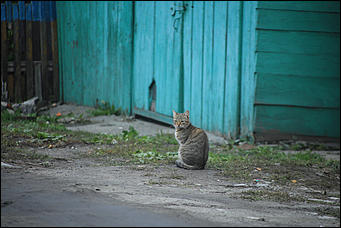 26 сентября 2017 г, Барнаул. Екатерина Смолихина Над пропастью в Оби: фотопрогулка по береговой улице Барнаула