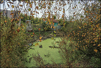 26 сентября 2017 г, Барнаул. Екатерина Смолихина Над пропастью в Оби: фотопрогулка по береговой улице Барнаула